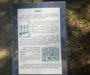 ESC w Ogrodzie Botanicznym UKW