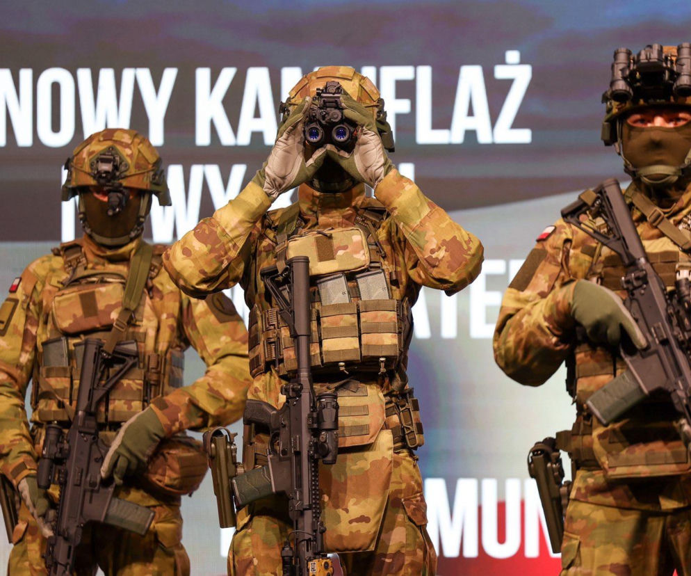 Ryś z polskim wyposażeniem. PGZ o pokazanym sprzęcie