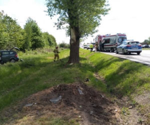 Przeworsk. Kierowca zasnął i zderzył się z drzewem na wysokości 2 metrów