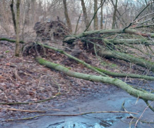 Wichura znów narobiła szkód w Lesznie i powiecie