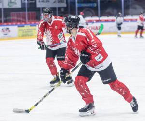 Hokej z Gwiazdami w Tychach dla WOŚP. Na lodowisku gwiezdna konstelacja