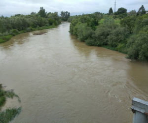 Wysoki Dunajec pod Tarnowem! Biała przy Azotach też przybiera