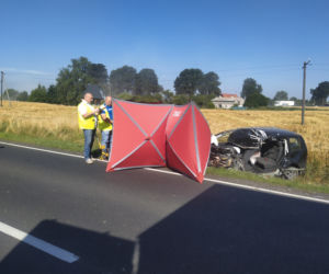 Tragiczny wypadek w Pląchotach! 49-latek zginął na miejscu [ZDJĘCIA]