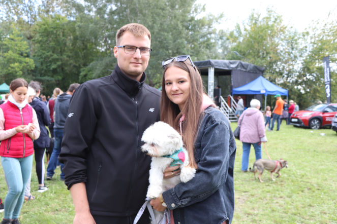Adoptuj psiego lub kociego seniora. Wyjątkowy piknik w Toruniu