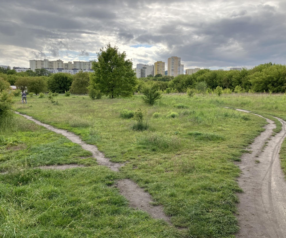 Czy uwolnienie gruntów pod inwestycje mieszkaniowe obniży ceny mieszkań?