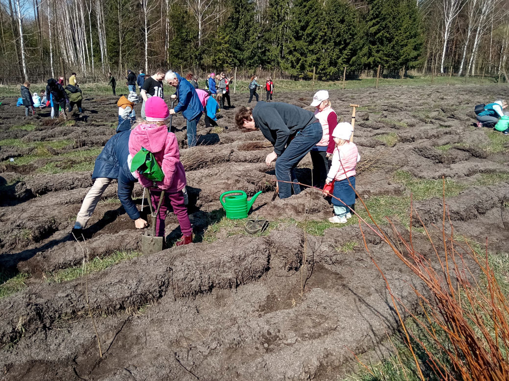 Akcja "Grudziądzanie sadzą las"!