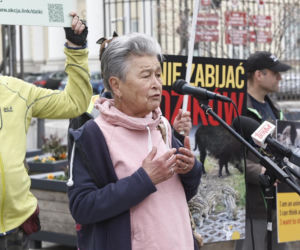 „Dzik jest dobry, ratusz zły”, „Warszawa to nie rzeźnia”. Pikieta przed ratuszem przeciw uśmiercaniu zwierząt w stolicy