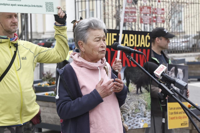 „Dzik jest dobry, ratusz zły”, „Warszawa to nie rzeźnia”. Pikieta przed ratuszem przeciw uśmiercaniu zwierząt w stolicy