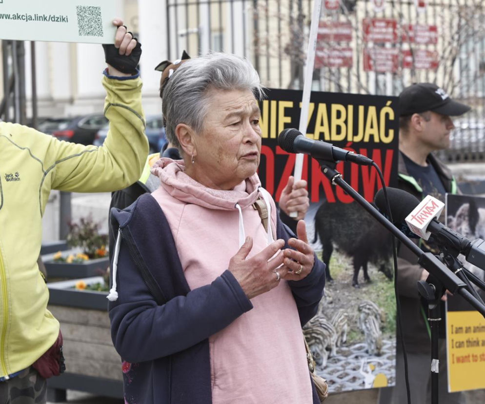„Dzik jest dobry, ratusz zły”, „Warszawa to nie rzeźnia”. Pikieta przed ratuszem przeciw uśmiercaniu zwierząt w stolicy