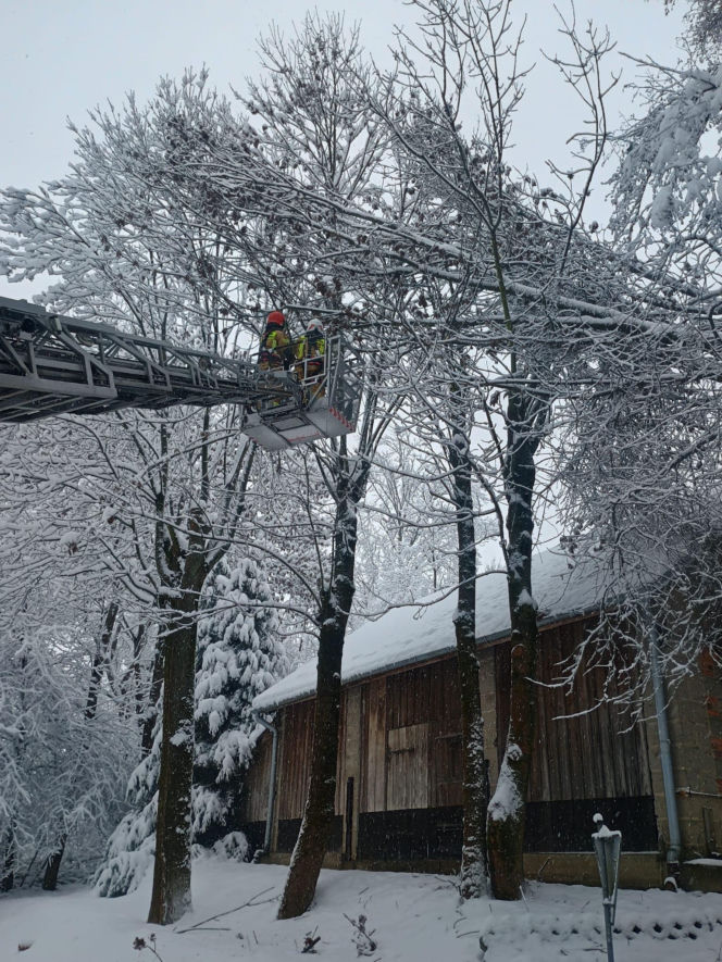 Podkarpacie pod śniegiem. Tysiące domów bez prądu, drogi sparaliżowane. Sprawdź, co dzieje się w regionie!