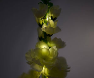 Te solarne kwiaty z Sinsay kosztują jedynie 19,99, a wyglądają, jak żywe! Stworzą niepowtarzalny klimat w ogrodzie i na balkonie