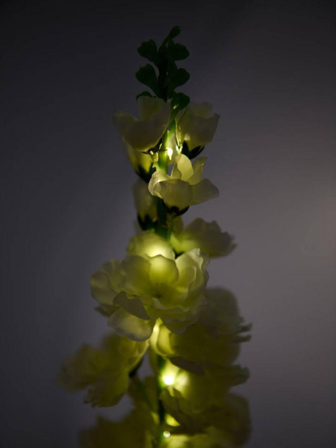 Te solarne kwiaty z Sinsay kosztują jedynie 19,99, a wyglądają, jak żywe! Stworzą niepowtarzalny klimat w ogrodzie i na balkonie