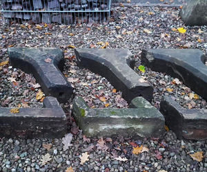 Teren wokół Wieży Quistorpa został uporządkowany