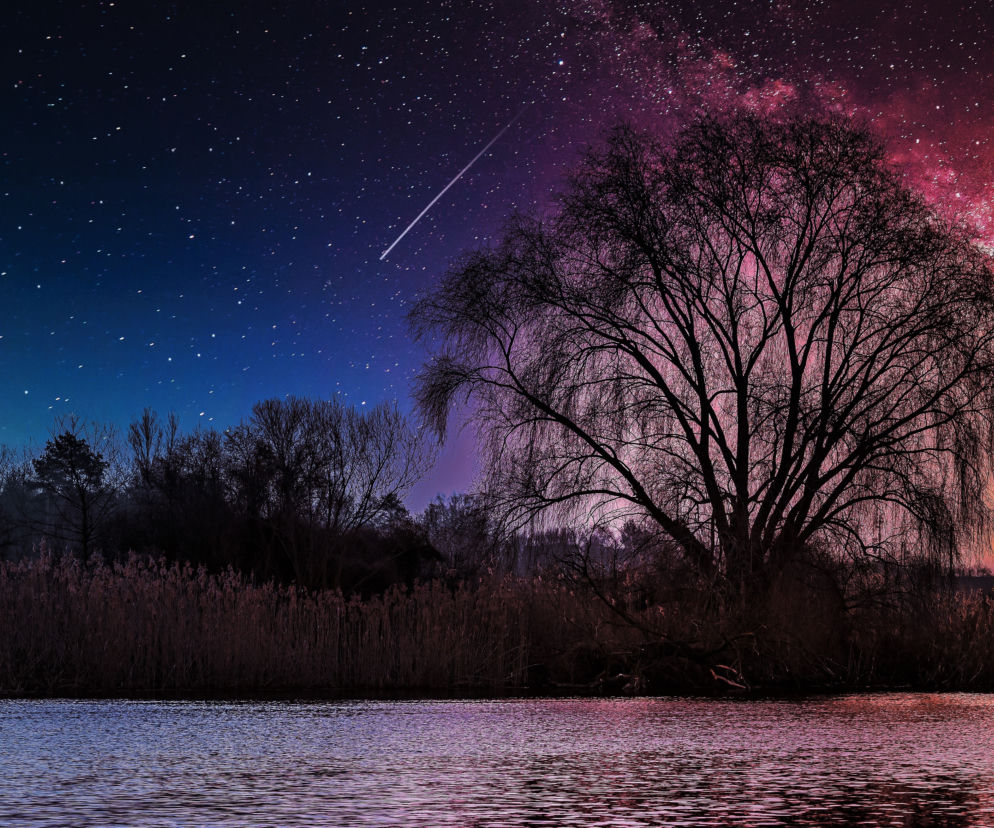 Perseidy 2021. Kiedy i gdzie obserwować roje meteorów?