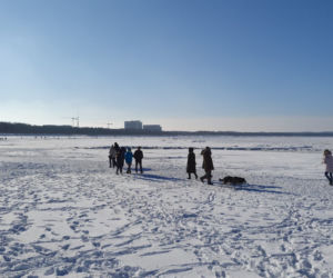 Plaża w Świnoujściu w zimowej odsłonie
