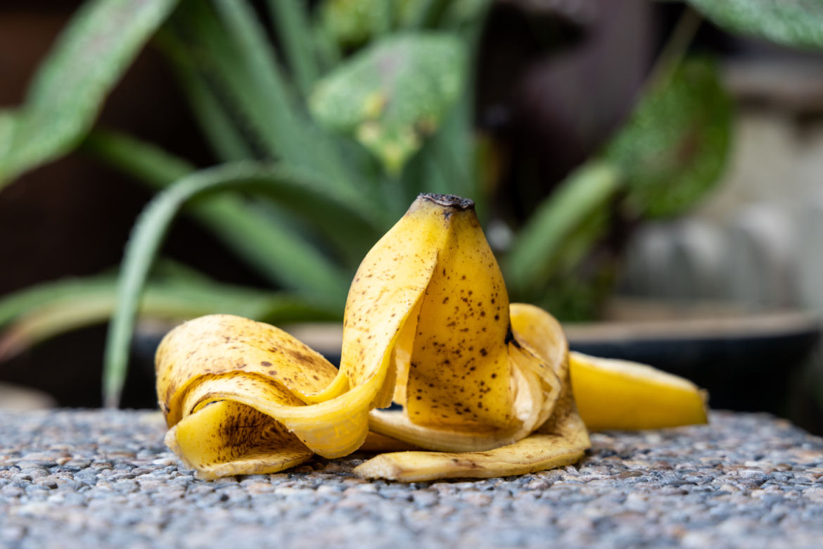 Skórki z banana