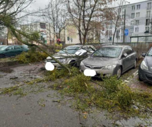 Drzewa na samochodach, zerwane dachy, brak prądu. Skutki wichury w Toruniu i okolicach
