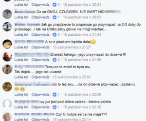  Przywiązali psa do drzewa. Internauci szukali okrutnych właścicieli szczeniaka