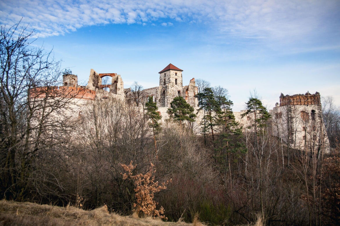 Puszcza Dulowska