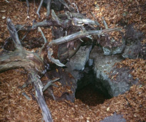 Sztolnie w Senderkach