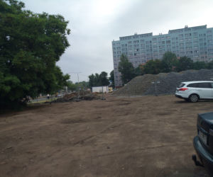 Wzdłuż parkingu Centrum Handlowego Arena wyrosną drzewa