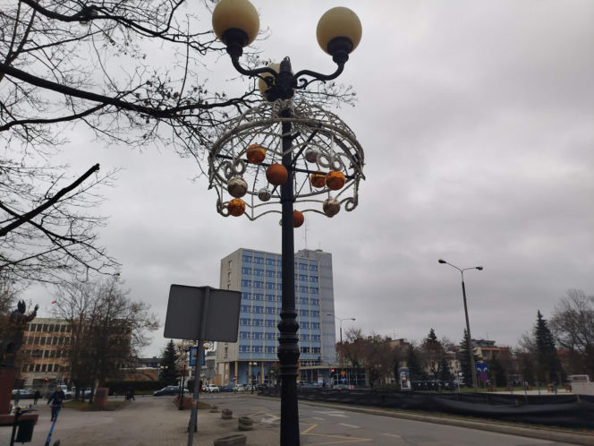 Choinka miejska Siedlce