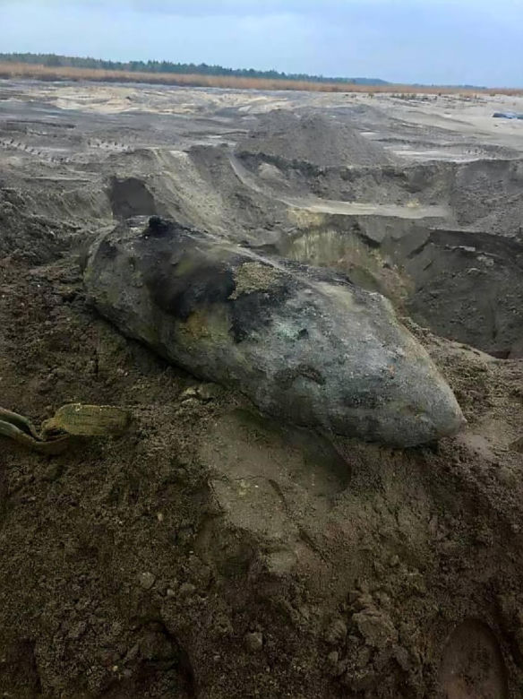 250-kilogramowa bomba lotnicza z czasów II wojny światowej została usunięta przez saperów z terenu budowy przy ul. Kolejowej we Wrocławiu