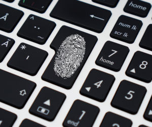 TOP 20 haseł w Polsce w 2025 roku