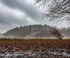 Kielce 20.11.2025. Coś wisi w powietrzu! Zobacz, co czeka Cię jutro, bo to… prawdziwy szok!