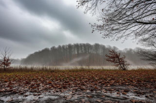 Kielce 20.11.2025. Coś wisi w powietrzu! Zobacz, co czeka Cię jutro, bo to… prawdziwy szok!
