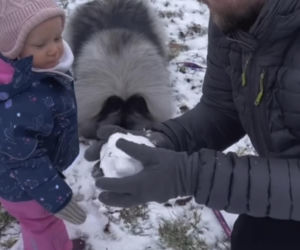 Antoni Królikowski bawi się z córką na śniegu