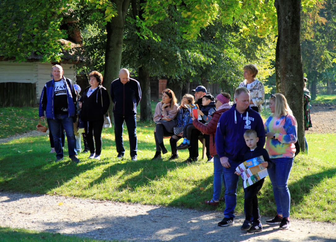 Wykopki kartoflane w lubelskim skansenie