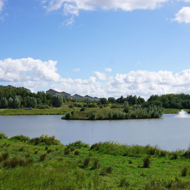 Park Południowy w Gdańsku