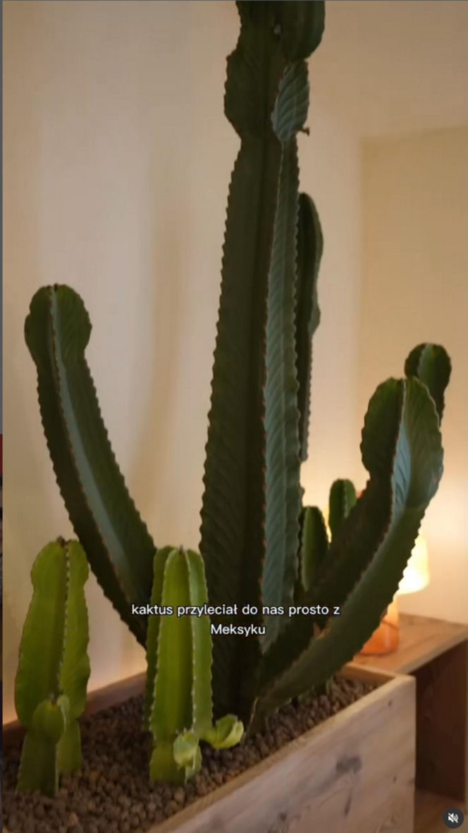 Karolina Gilon chwali się apartamentem! Co za wnętrza