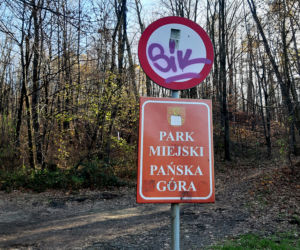 Pociął Franka, bo wjechał do lasu
