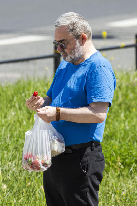 Karol Karski objada się malinami