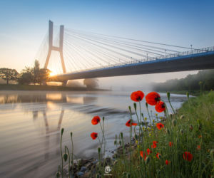 Most Rędziński