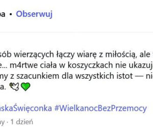 Karolina Skiba uderza w świąteczne tradycje. Martwe ciała w koszyczkach