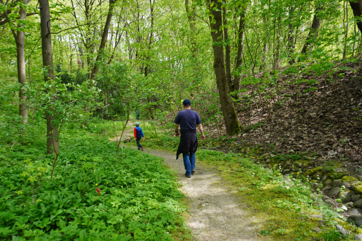 Ogród Botaniczny w Lublinie