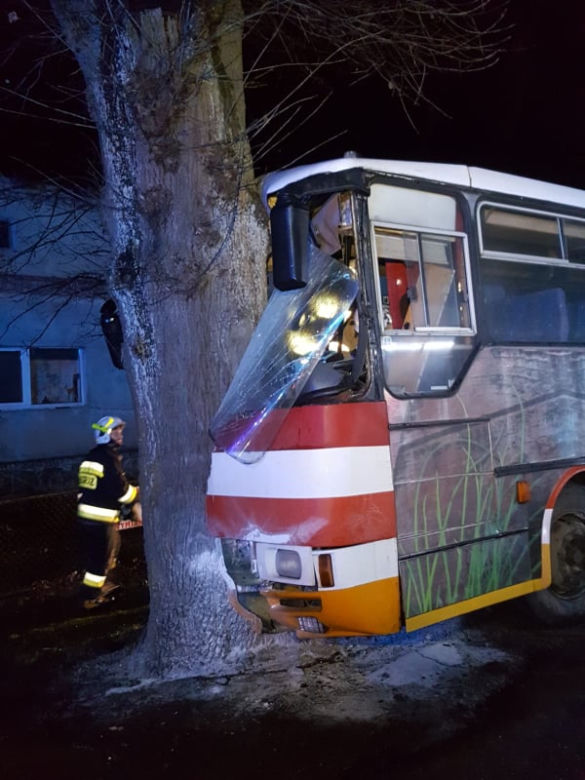 Autobus z dziećmi uderzył w drzewo! Są ranni. Dramat w Trzebiechowie [GALERIA]