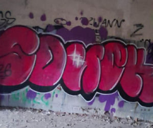 Dewastacja Fortu XI w Toruniu