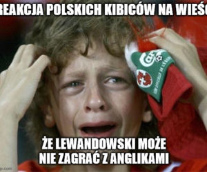 Reakcja internautów na powołania Sousy