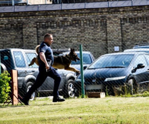 Policjanci na czterech łapach szkolili się w areszcie śledczym [ZDJĘCIA]