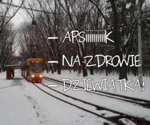 Sucharek komunikacyjny