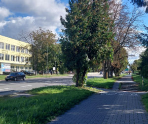 ul. Peowiaków w Zamościu
