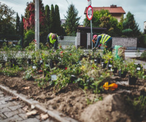 Jakie płuca ma Płock? W niedalekiej przyszłości na pewno zielone