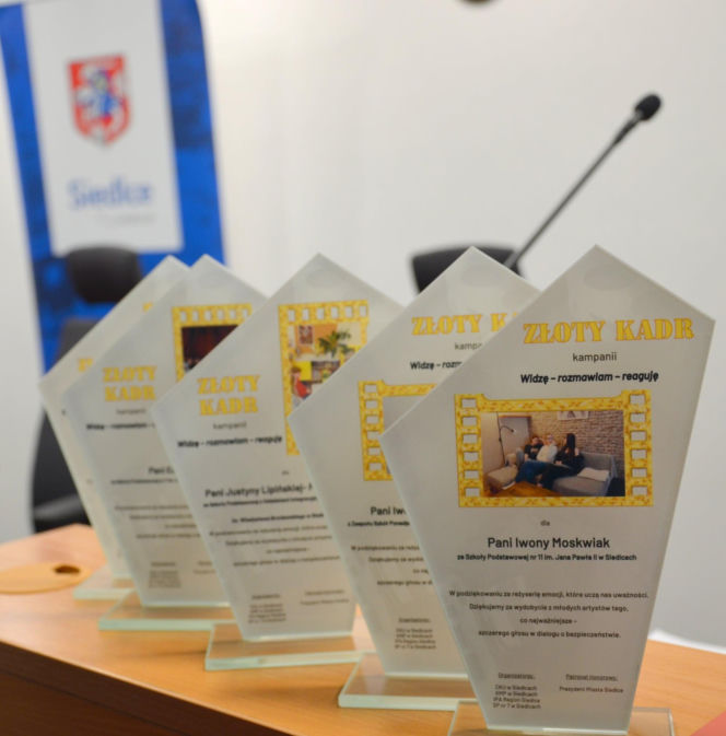 „Plastyczne Oscary” i mosty między pokoleniami. Wielki finał konkursów w ramach kampanii „Widzę – rozmawiam – reaguję” w Siedlcach