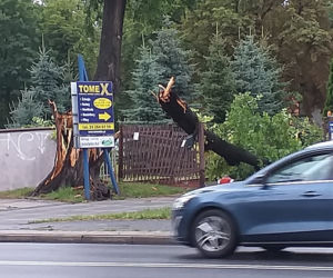 Burza w Płocku