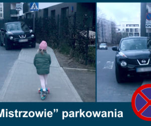 Mistrzowie parkowania. Tak kierowcy parkują w Warszawie