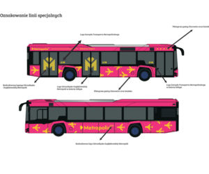 Kolor autobusów